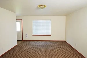 A room with a window and carpet in it