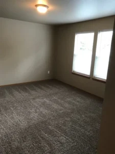 A room with a window and carpet in it